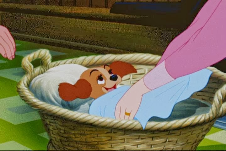 A Dama e o Vagabundo – Disney Para Dormir